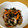 なおきんとん's cooksnap of when they made ひじきの炒めもの.