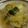 smomomoe's cooksnap of when they made 白菜のくたくた鍋.