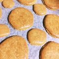 ⊙︿⊙'s cooksnap of when they made 和風♪ゴマきな粉マカロン.