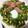 yc★'s cooksnap of when they made クリスマスに☆簡単リースサラダ.