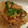 COOOTAN's cooksnap of when they made めんつゆで簡単＊里芋のそぼろあんかけ煮.