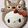 ♥momonga♥'s cooksnap of when they made *トトロをかぶったキティちゃんケーキ*.