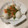 うさとらら's cooksnap of when they made 簡単旨っ♪エビとうずら卵のピンチョス.