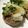 ぽれ子's cooksnap of when they made 塩こうじ豆腐ハンバーグ.