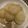 ★ＡＲＩＳＡ☆'s cooksnap of when they made ヤーコンのさっぱり蜂蜜煮.