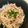 まやチャン's cooksnap of when they made ズボラ★大根サラダ.