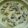 でいだらぼっち's cooksnap of when they made 牡蠣の土鍋ご飯.
