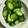 ☆yuuyu☆'s cooksnap of when they made 顆粒だしで簡単♪やさしいきゅうりのお漬物.