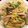はまのタスケ's cooksnap of when they made ★アボカドときのこのクリームパスタ★.