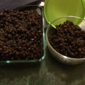 MNory's cooksnap of when they made 小豆粒餡の炊き方　レベル★★★.