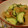 ♪ごんた's cooksnap of when they made 味付不要！簡単和えるだけ！中華クラゲ胡瓜.