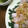 めいじさん's cooksnap of when they made 蒸し鶏のねぎソース.