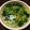 ぷちぷちぷちやん's cooksnap of when they made ブロッコリーの茎と葉のお味噌汁.
