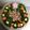 たまゆず's cooksnap of when they made 簡単クリスマスリースそぼろ弁当.