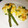 ★サンセット★'s cooksnap of when they made 簡単☆アスパラとコーンのさつま揚げ風.