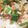 クック5CJW2R☆'s cooksnap of when they made ワンパンで♪小松菜と海老のクリーム煮.