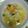 ｽｶｲﾌｨｯｼｭ☆'s cooksnap of when they made トロトロ旨味たっぷりお味噌汁☆幼児食にも.