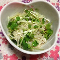ぽぽきゅ's cooksnap of when they made えのきの簡単小鉢.