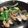 ごーあい's cooksnap of when they made あさりとおくらの中華炒め.