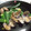 ごーあい's cooksnap of when they made あさりとおくらの中華炒め.
