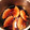 漢の台所's cooksnap of when they made 簡単 とろける 豚の角煮.