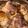 shoko_o's cooksnap of when they made ＊絶品＊鯛のあら煮.