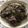 mario大好き's cooksnap of when they made カルビ丼.