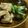 低カロ探検隊's cooksnap of when they made ねぎと車麩の煮物.