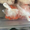フランクフルトJr's cooksnap of when they made 【冷凍】人参保存.