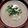 ハウスフィールド's cooksnap of when they made 天然だしパックで作る おろし蓮根の味噌汁.