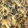 メタルマリオ's cooksnap of when they made 簡単!母の味!貝ひもの煮付け.