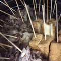 ゆうすけたろはは's cooksnap of when they made 鰹節と昆布だしで美味しい♡母のおでん.