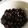 ☆chiroru♪'s cooksnap of when they made 超簡単！大掃除をしながら作れる黒豆！.