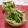 赤い電話's cooksnap of when they made 居酒屋風？大根と水菜のシャキシャキサラダ.