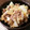 あねさん女房さ〜や's cooksnap of when they made 牛肉と大根のオイスター炒め.