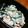 ことみ（・ω・）'s cooksnap of when they made 旬菜の白和え.