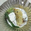 まきさん's cooksnap of when they made にんにくスプラウトのマヨネーズ焼き.