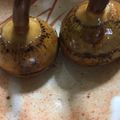 ☆えりんこ☆★'s cooksnap of when they made シンプル☆クワイの唐揚げ.