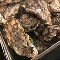 まいうぅ's cooksnap of when they made 牡蠣（カキ）とホタテの「ガンガン焼き」.