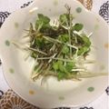 ぽぽきゅ's cooksnap of when they made 簡単☆カイワレと納豆昆布あえ☆おつまみ.