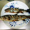 クック6M60VP☆'s cooksnap of when they made ニジマスの塩焼き＠アメリカ.