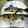 クック6M60VP☆'s cooksnap of when they made ニジマスの塩焼き＠アメリカ.