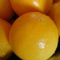 まねき☆まねき's cooksnap of when they made 『畔上の台所』流　塩レモンの作り方.
