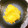 クック3QC29J☆'s cooksnap of when they made 栗きんとん.