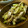 低カロ探検隊's cooksnap of when they made セロリと豚肉の粒マスタード炒め♪.