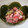 あやかときょうこ's cooksnap of when they made きゅうりとわかめと春雨の梅くらげ和え.
