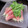 みゅう１５'s cooksnap of when they made 切り落とし生ハムのかいわれ大根巻き.