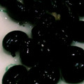 きえまま's cooksnap of when they made ほっくほくの塩黒豆.