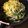 ☆ichika＊☆'s cooksnap of when they made 豆苗ともやしのシンプル塩炒め.