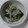 イチゴ、イチゴ。's cooksnap of when they made 白菜と小松菜のしらす和え.